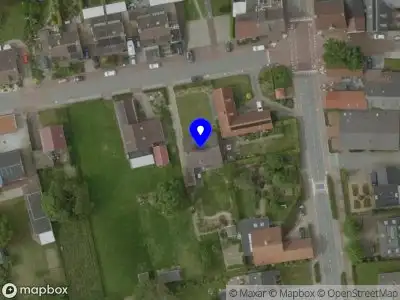 Bloomane Echt