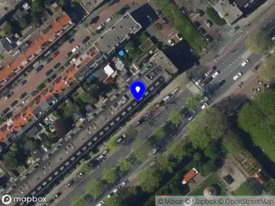 Kitten Purple Monkey