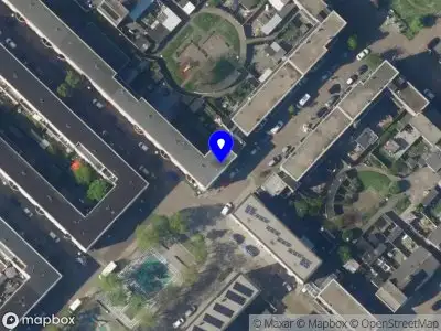 Business & Legal Translations Services