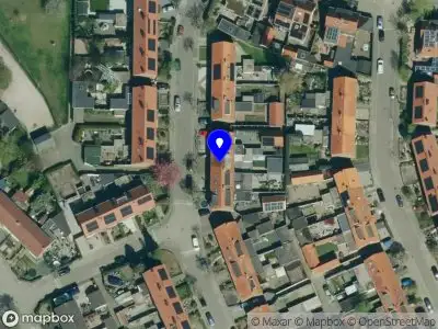 BALLON BLOEM Ede