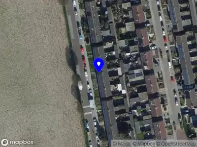 Hondengedragsconsulent Zeeland