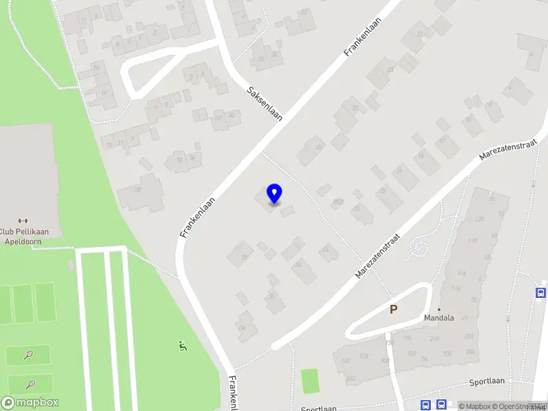 HappyTerra Nederlandse les