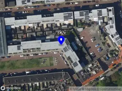In bloei met Shefali 's-Gravenhage