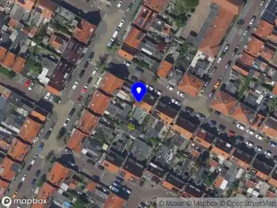 Studio Viltelief Sliedrecht