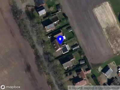 tree of life mediumschap