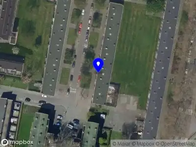 Bayat Services Rotterdam