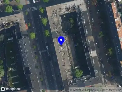 Costa Silk flower artists Amsterdam