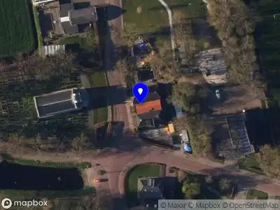 DD Mook bomenrooierij en houtzagerij Nijega