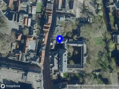 Nieuw bedrijf Mirthe van den Berk