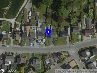 Nieuw bedrijf Groei kracht