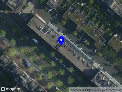 Palm tree mental health