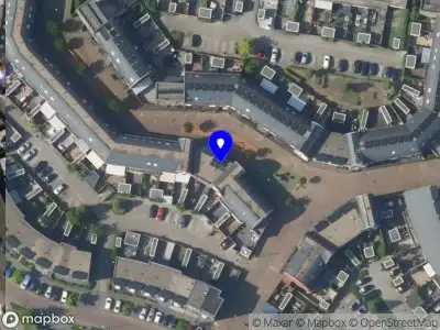 Authentic Artists of Culture