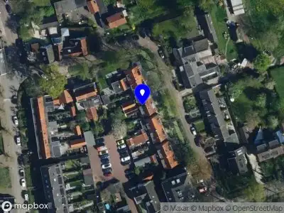 Nieuw bedrijf Dana Stan Studio