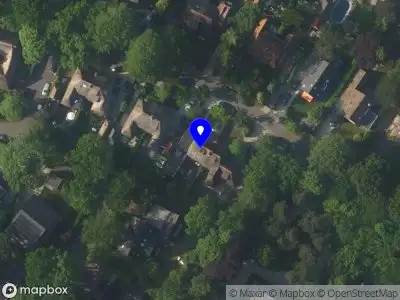 Bright Trees Marketing & Communication