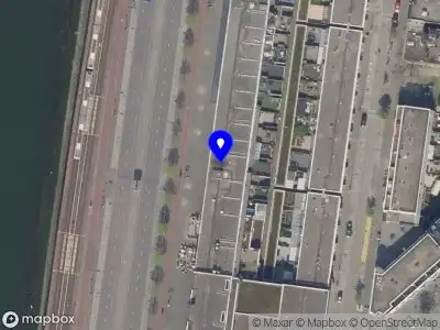 de Maasbeertjes Rotterdam
