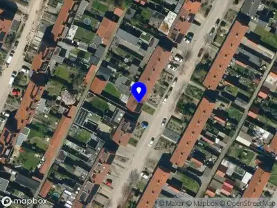 Pre Bonsai Achterhoek Doetinchem