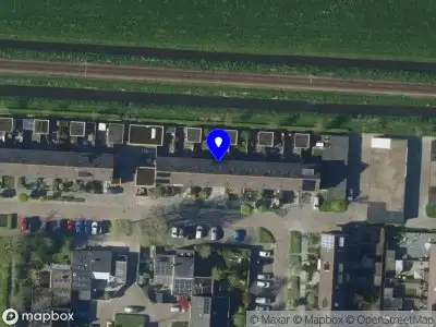 Curly Chic & Sleek Hair