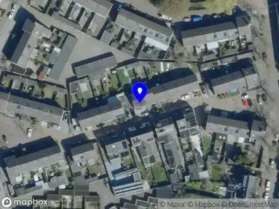 Pomeranian Trimsalon