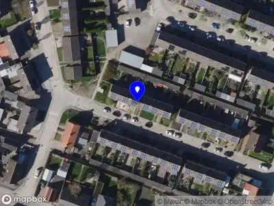 Urban Needle Vogelwaarde