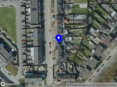 Nieuw bedrijf Chipservice Soulmates Cats