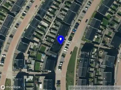 Punt van Welzijn Acupunctuur