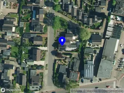 Odonata Groen Vaassen