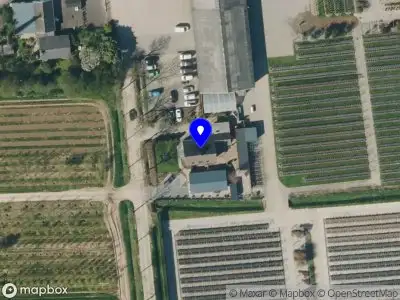 Wixeler boomkwekerij en aannemerij Dodewaard