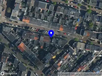 Spaarne honden Haarlem