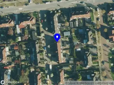 De vuurbloem The healing hands