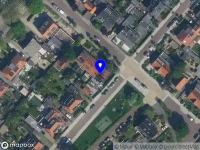 Daisy Days Badhoevedorp