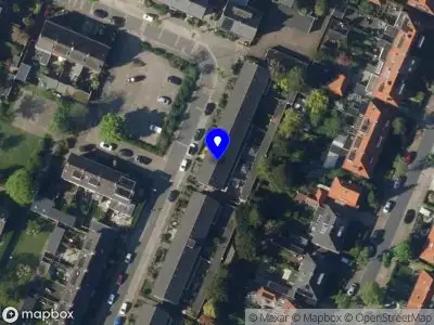Vicini Vintage De Bilt