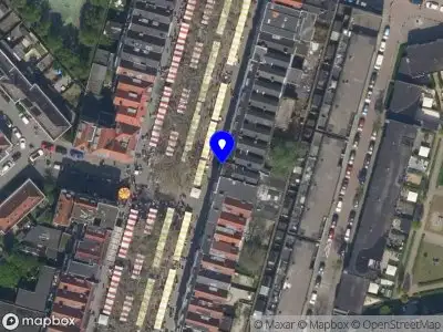 Kapper poes Rotterdam