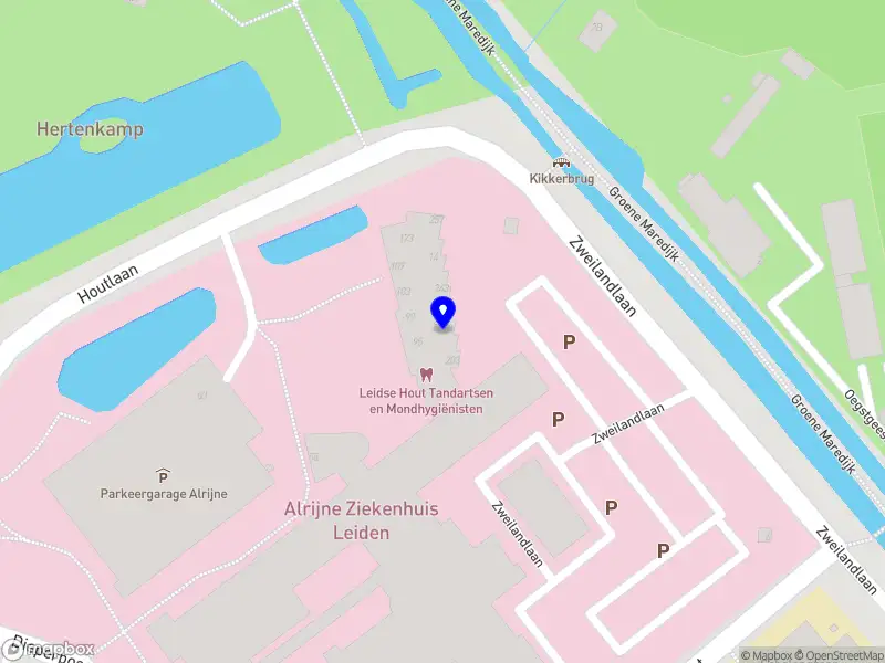 ol.naumenko Leiden