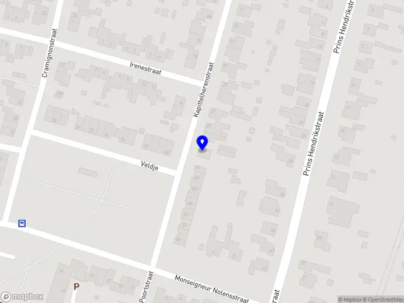 Proactive Coaching Nederland