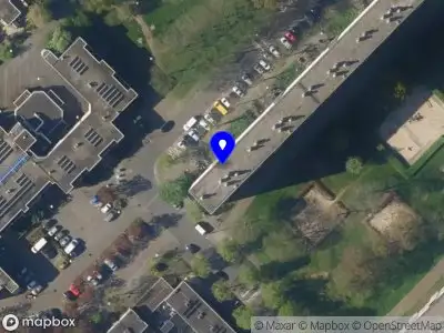 Nieuw bedrijf Safa Omrani Consulting