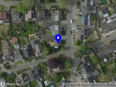 Bloom Cupping & Massage