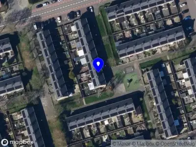 Pijnappels Uw Specialist