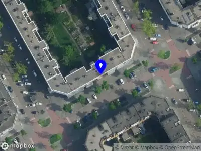 Stavast in groen Amsterdam