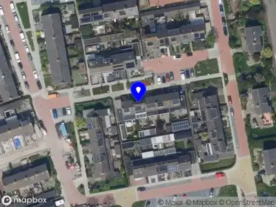 Light Owl Noorden