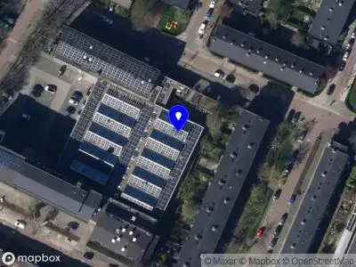 Puut Appingedam Groningen