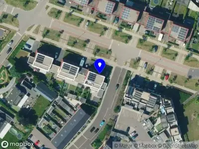 BlackCoral Capital Investor