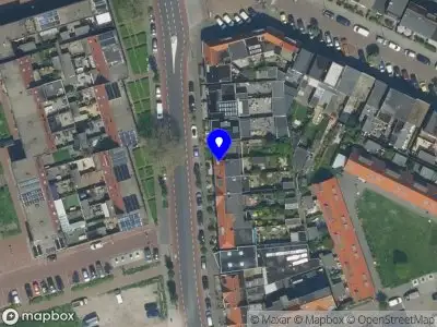 Vrouwtje Stoffelen IJmuiden
