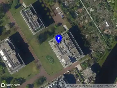 JS Management Consultant