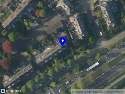 Blossom's photography and events