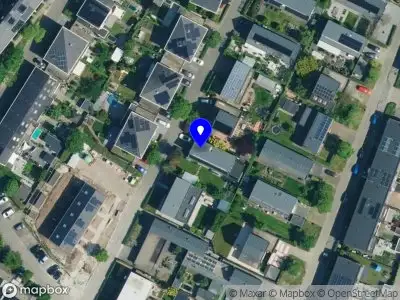 Losinska-Lingual Support