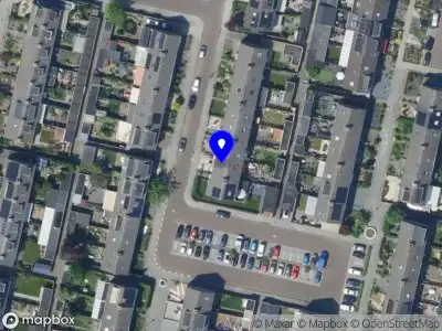 de Gele Zonnebloem Dronten