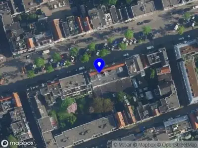 Crocodice Amsterdam