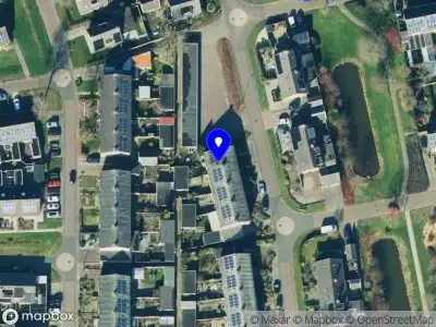 Hondenuitlaatservice Los in het bos