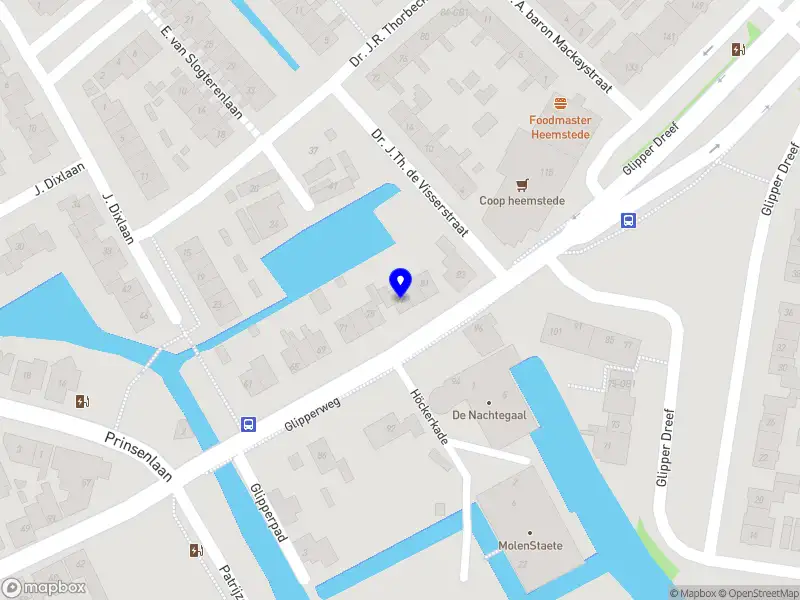 Reactive Dogs NL Heemstede