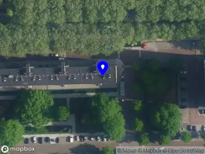 LizWil Amsterdam